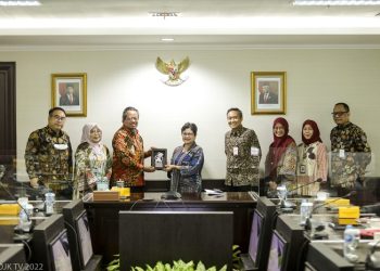 Ketua Dewan Audit OJK, Sophia Wattimena pada pertemuan dengan Indonesia Risk Management Professional Association (IRMAPA) di Kantor OJK Jakarta, Selasa (20/12). [dok OJK]