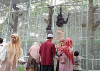 Pengunjung berlibur di tempat wisata Taman Rimba Kota Jambi di hari Natal [Dok Sahredy]