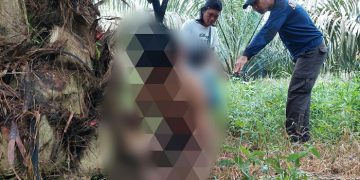 Sesosok mayat yang ditemukan dalam kondisi leher terikat di pohon sawit milik PT IIS, di Kabupaten Batanghari, Jambi. [Foto Aurduri.com/Wahyu]