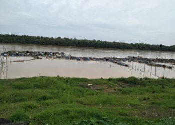 Ratusan keramba milik empat kelompok tani di Kabupaten Batanghari hanyut terseret arus sungai, Rabu (25/1/2023). [Foto Aurduri.com/Wahyu]