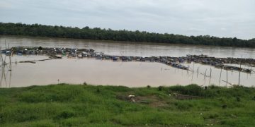 Ratusan keramba milik empat kelompok tani di Kabupaten Batanghari hanyut terseret arus sungai, Rabu (25/1/2023). [Foto Aurduri.com/Wahyu]
