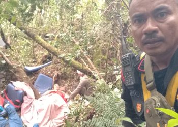 Tim evakuasi tiba di titik lokasi mendarat Darurat helikopter yang membawa Kapolda Jambi bersama rombongan di Bukit Tamiai, Muara Emat, Kabupaten Kerinci. Senin (20/2/2023). [Humas Polda Jambi]