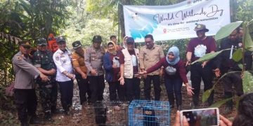 Sekda Sapril saat mengadiri pelepasliaran satwa satwa Peringatan Hari Lahan Basah di TNBS Air Hitam Dalam, Jumat (24/02/2023). [Dok. Aurduri.com/Arwin]