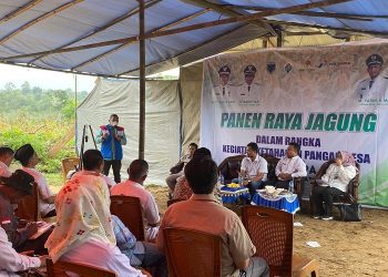 Pembukaan acara Panen raya Kelompok Tani Binaan SKK Migas - Pertamina EP Jambi Field di Desa Pompa Air, Rabu (15/03/2023). [Dok. SKK Migas/Tania]