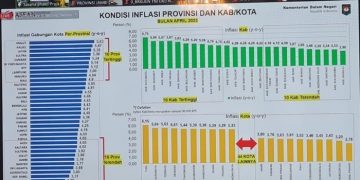 Statistik data inflasi Provinsi Jambi/kabupaten dan kota. [Dok. BPS Jambi]