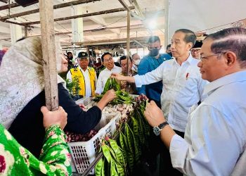Presiden Republik Indonesia saat mengunjungi Pasar Rakyat Talang Banjar Kota Jambi, Selasa (16/5/2023). [Foto: Biro Pers, Media, dan Informasi Sekretariat Presiden]
