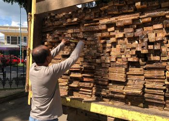 Truk Pengangkut Kayu Ilegal setelah di amankan Polisi pada 16 Juni 2023 lalu. [Foto: Humas Polda Jambi]