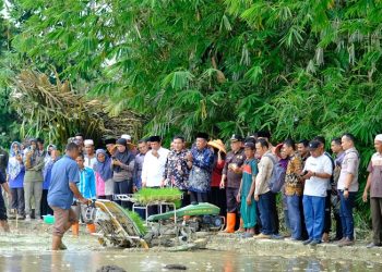 Abdullah Sani bersama Kelompok Tani melakukan penanaman padi di Desa Pasar Pelawan, Kamis (20/07/2023). [Foto: Diskominfo/Agus]