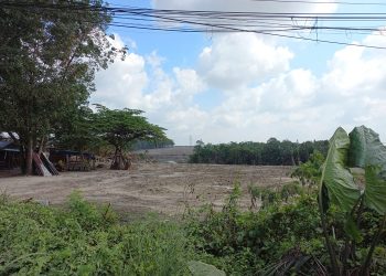 Lokasi Rencana pembukaan stockpile batu bara di wilayah Kelurahan Aur Kenali,Kota Jambi, Rabu (26/07/2023). [Foto: BITNews.id]
