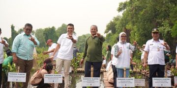 Suasana penanaman Mangrove oleh Apical di hari Magrove Sedunia, Rabu (26/07/2023). [Foto: Humas Apical]