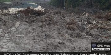Pembangunan Stockpile di Kelurahan Aur Kenali. [Foto: Donameck]