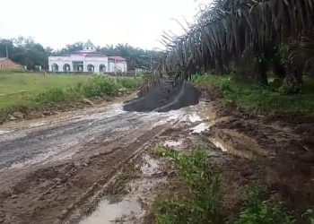 Pengerjaan berkala jalan nasional yang berlokasi di Kecamatan Tebo Ilir. [Foto: PJS Tebo]
