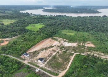 Penampakan lokasi yang akan dibangun TUKS dari PT SAS seluas 70 hektar, sudah dilakukan permbersihan lahan sekitar 20 hektar di sekitarnya, Minggu (24/12/2023). (Foto: Wahyu Jati)