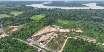 Penampakan lokasi yang akan dibangun TUKS dari PT SAS seluas 70 hektar, sudah dilakukan permbersihan lahan sekitar 20 hektar di sekitarnya, Minggu (24/12/2023). (Foto: Wahyu Jati)