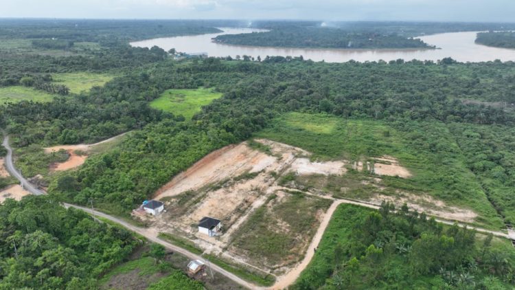 Penampakan lokasi yang akan dibangun TUKS dari PT SAS seluas 70 hektar, sudah dilakukan permbersihan lahan sekitar 20 hektar di sekitarnya, Minggu (24/12/2023). (Foto: Wahyu Jati)