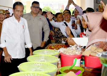 (Foto: Biro Pers, Media, dan Informasi Sekretariat Presiden)