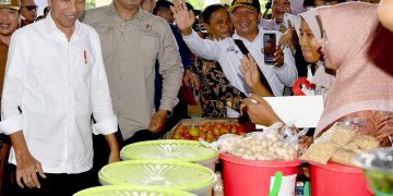 (Foto: Biro Pers, Media, dan Informasi Sekretariat Presiden)