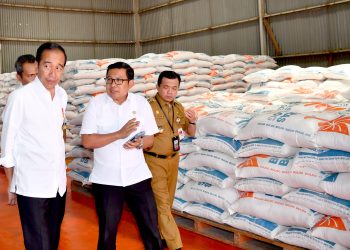 (Foto: Biro Pers, Media, dan Informasi Sekretariat Presiden)