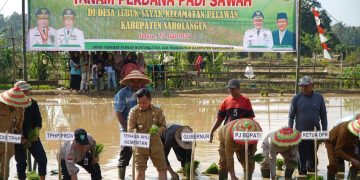 Gubernur Al Haris saat melakukan Tanam Perdana Padi Sawah dalam rangka upaya Pengendalian Inflasi, bertempat di Desa Lubuk Sayak, Kecamatan Pelawan, Kabupaten Sarolangun, Selasa (23/07/2024). (Foto: Diskominfo/Harun)