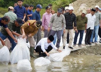 Gubernur Al Haris saat menabur 10.000 benih ikan di Bendungan Air PLTA Danau Kerinci, dilanjutkan peninjauan lokasi sekolah rakyat di Desa Sandaran Agung dekat SMK 3 Kerinci, Kecamatan Danau Kerinci, Sabtu (07/03/2026).  (Foto: Diskominfo/Novriansah)