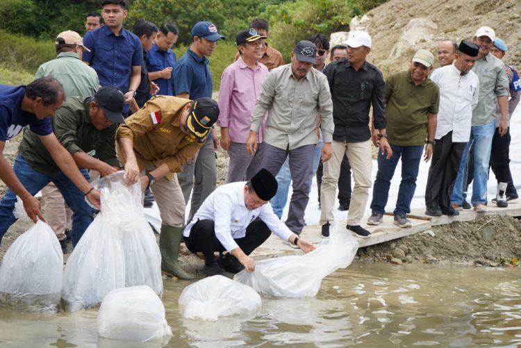 Gubernur Al Haris saat menabur 10.000 benih ikan di Bendungan Air PLTA Danau Kerinci, dilanjutkan peninjauan lokasi sekolah rakyat di Desa Sandaran Agung dekat SMK 3 Kerinci, Kecamatan Danau Kerinci, Sabtu (07/03/2026).  (Foto: Diskominfo/Novriansah)
